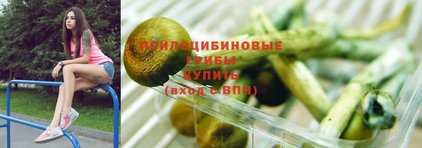 apvp Абаза