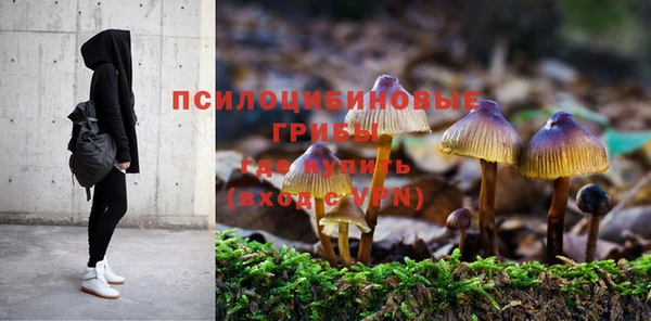 спайс Абинск