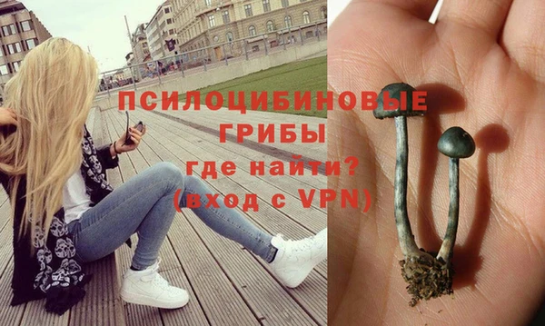 спайс Абинск