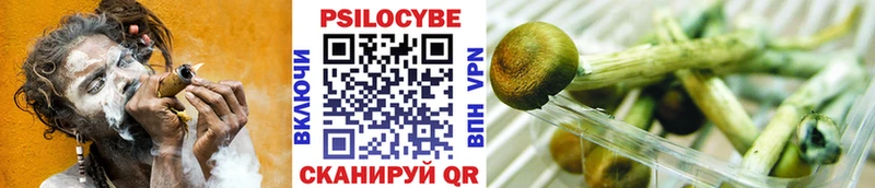 цена Заводоуковск Галлюциногенные грибы GOLDEN TEACHER
